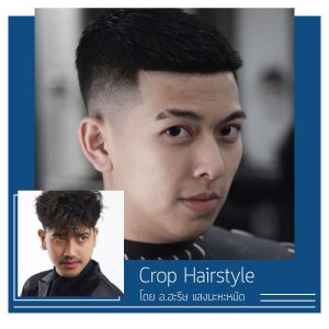 Featured Picture for Crop Hairstyle
